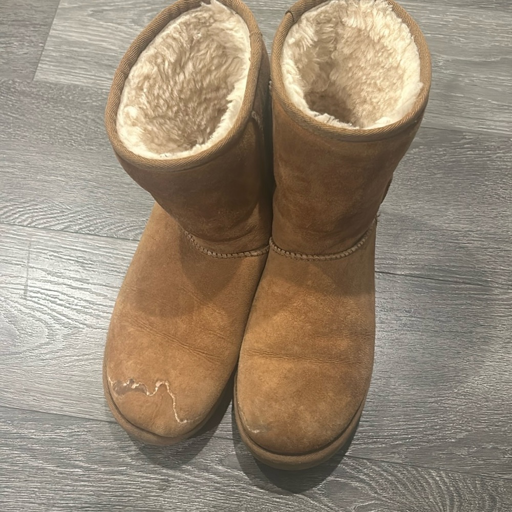 Classic authentic chestnut uggs